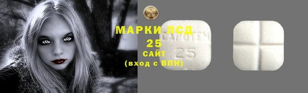 индика Армянск