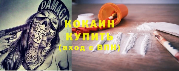 индика Армянск