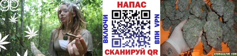 Канабис конопля Макарьев